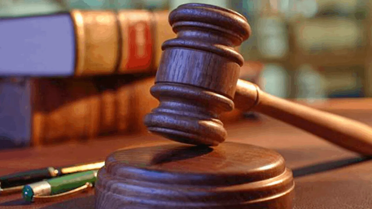 சமன் ஏக்கநாயக்கவுக்கு பிணை